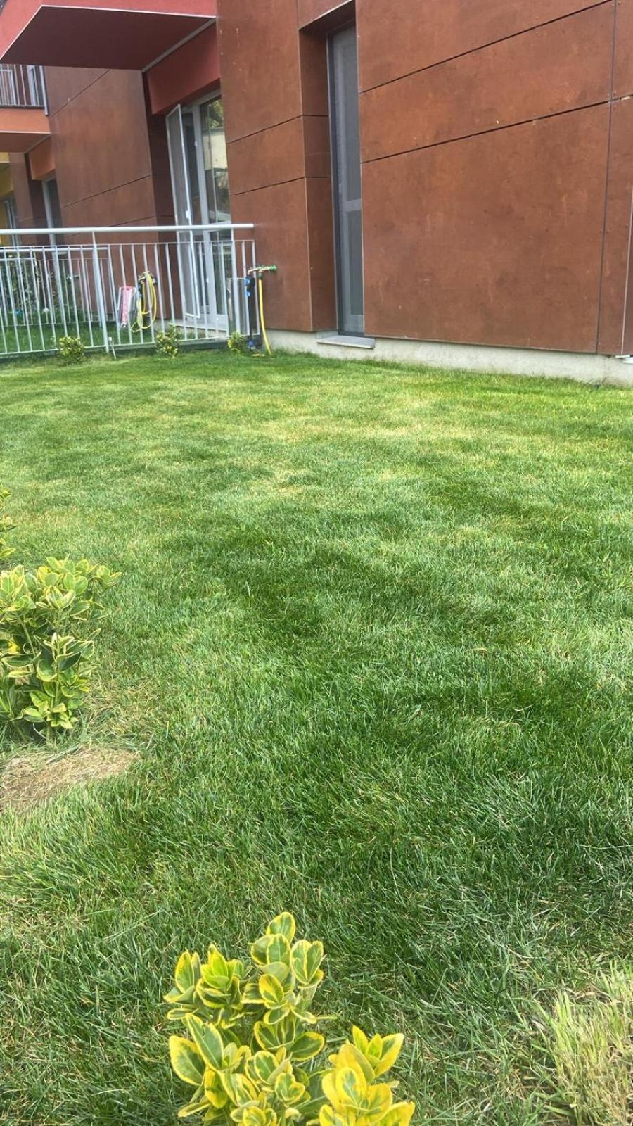 Dream Garden Apartment With Free Parking Синая Экстерьер фото